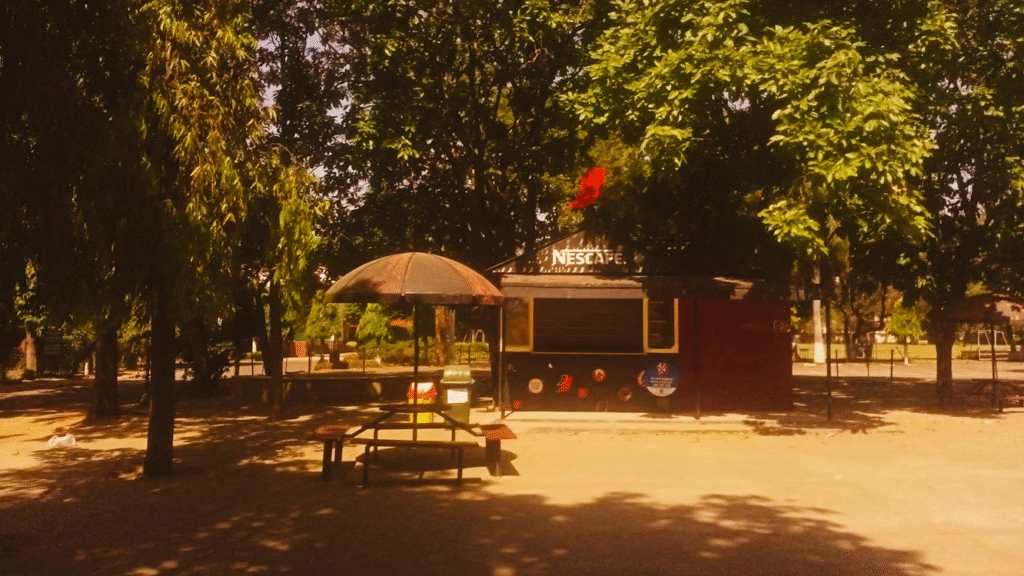 Things to do in chandigarh