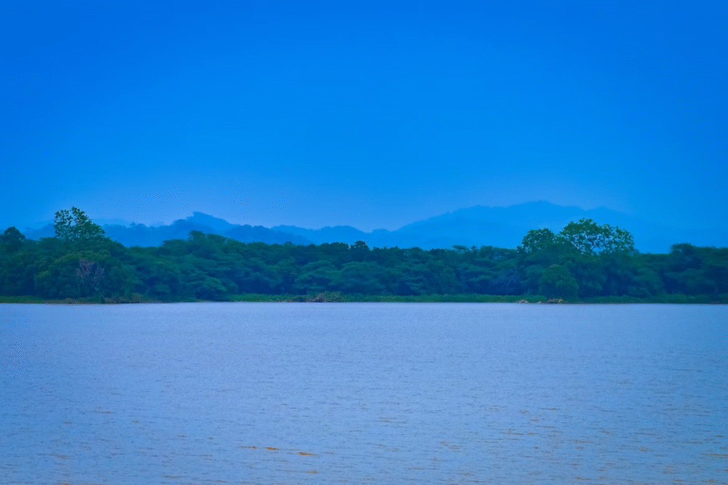Sukhna Lake